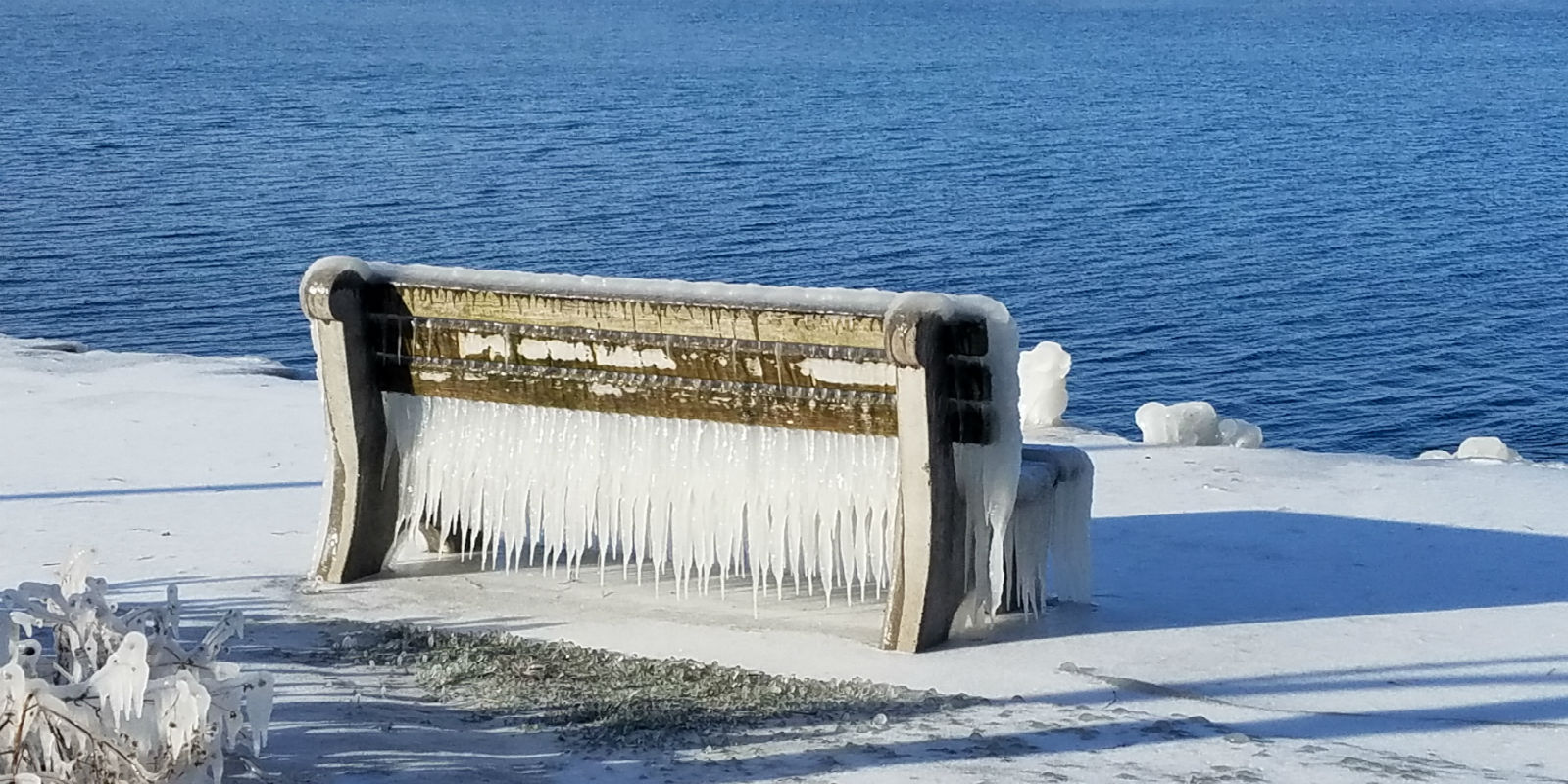 Frozen Bench